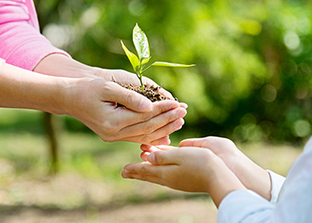 红足1世新2登录